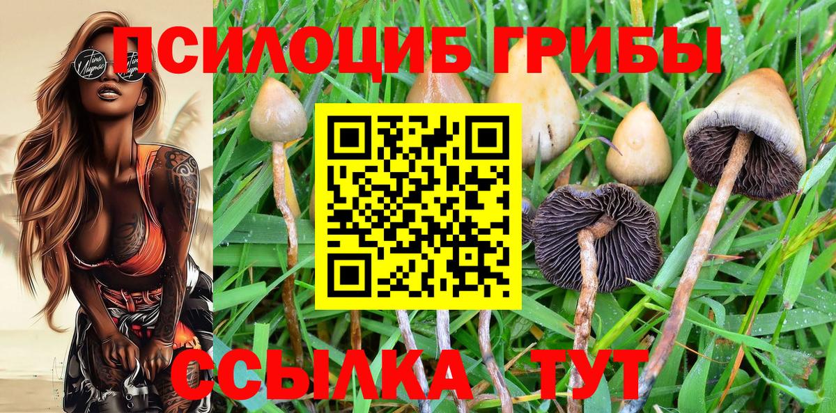 Псилоцибиновые грибы ЛСД  Вход с VPN  Нижний Тагил  Галлюциногенные грибы мухоморы 
