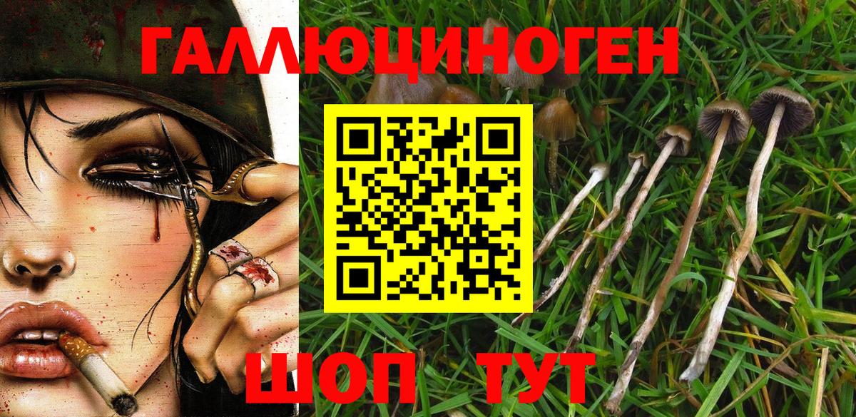 Псилоцибиновые грибы мухоморы Нижний Тагил